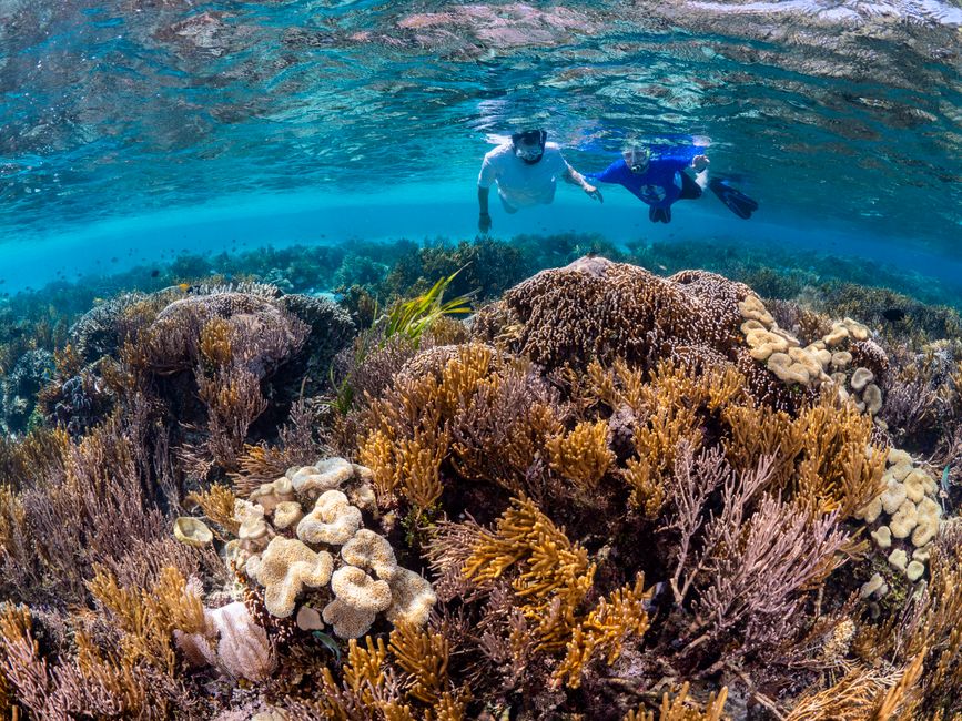 snorkeling