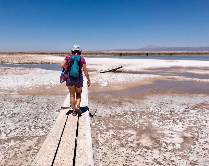 die atacama BCste hat