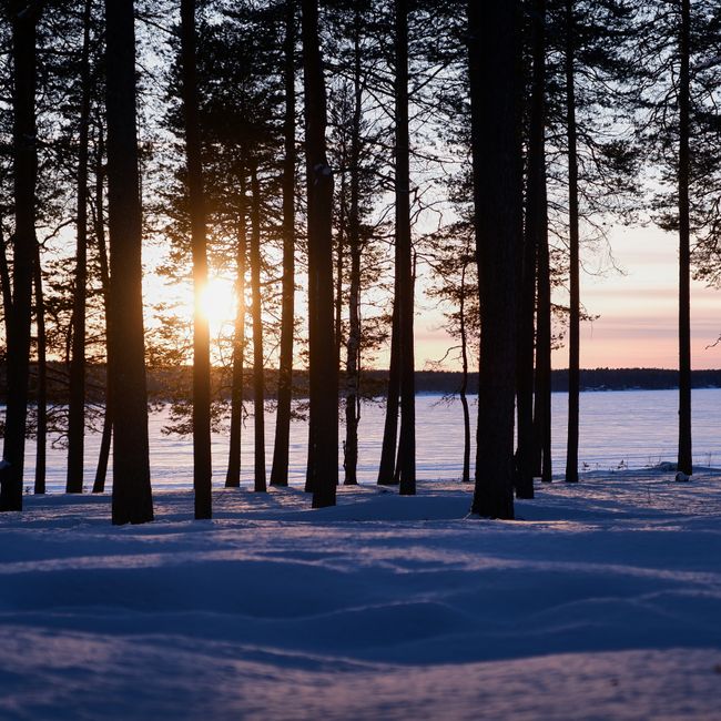 Dein-Finnland.de - Finnland hautnah erleben (Werbung)
