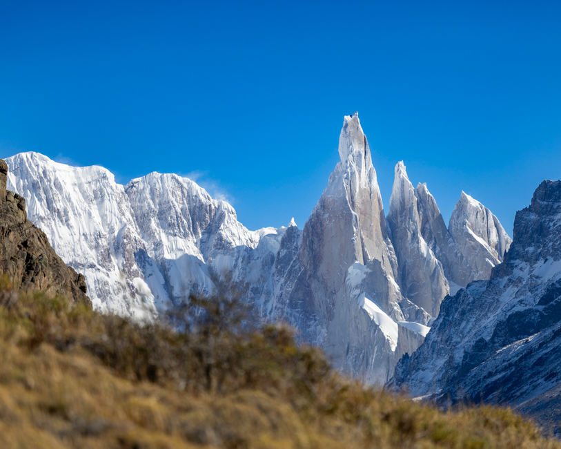 fLama Cerro Torre .jpg.