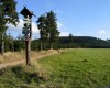 Der Rennsteigwanderweg bei Tambach-Dietharz. 1)